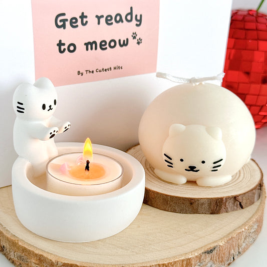 Cat Lover Gift Set